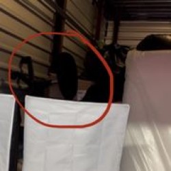 Image uploaded by customer for Good Greek Moving & Storage West Palm Beach.