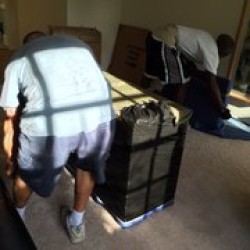 Latest review image uploaded by customer for Icon Moving.