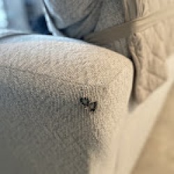 Image uploaded by customer for Moving Across America LLC.