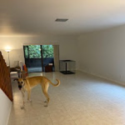 Image uploaded by customer for Safe & Easy Moving.