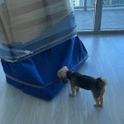 Image uploaded by customer for The Moving Company.