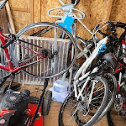 Image uploaded by customer for All My Sons Moving & Storage of Tampa.