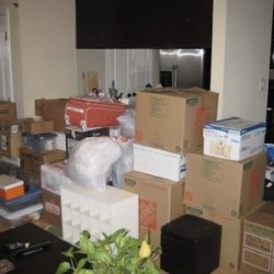 Image uploaded by customer for America's Movers.