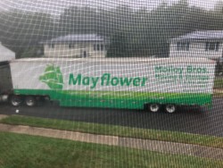 Image uploaded by customer for Molloy Moving & Storage.
