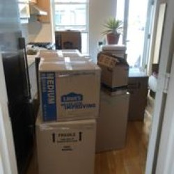 Latest review image uploaded by customer for JP URBAN MOVING.