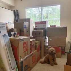 Image uploaded by customer for All About Moving Tampa Bay.