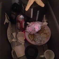 Image uploaded by customer for Ponte Vedra Movers.