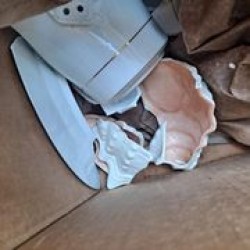 Latest review image uploaded by customer for Real Time Relocation.