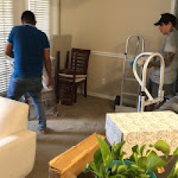 Latest review image uploaded by customer for Sebastian Moving and More.