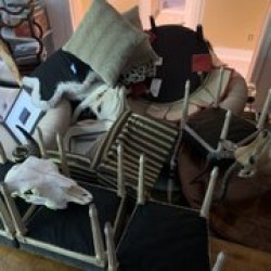 Image uploaded by customer for Roadrunner Moving.