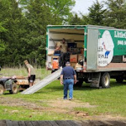 Image uploaded by customer for Little Guys Movers Denton.