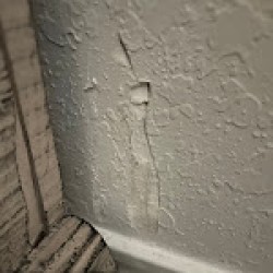 Latest review image uploaded by customer for All My Sons Moving & Storage San Antonio.