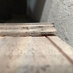 Latest review image uploaded by customer for All My Sons Moving & Storage San Antonio.