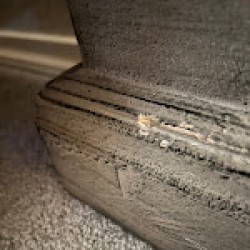 Latest review image uploaded by customer for All My Sons Moving & Storage San Antonio.
