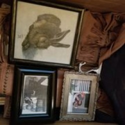 Image uploaded by customer for Brazos Moving.