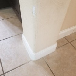 Image uploaded by customer for Move Logistics San Antonio.