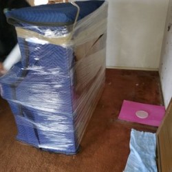 Latest review image uploaded by customer for Martian Movers.