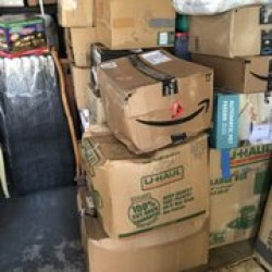 Latest review image uploaded by customer for Army Ant Movers.