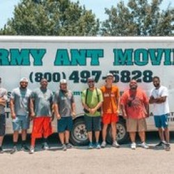 Latest review image uploaded by customer for Army Ant Movers.