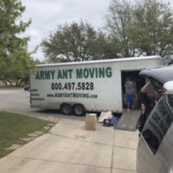Latest review image uploaded by customer for Army Ant Movers.