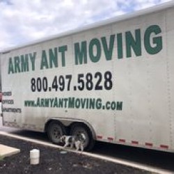 Latest review image uploaded by customer for Army Ant Movers.