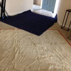 Latest review image uploaded by customer for Army Ant Movers.