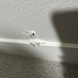 Latest review image uploaded by customer for House to Home Moving.