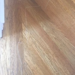 Image uploaded by customer for Shannon Moving & Storage.