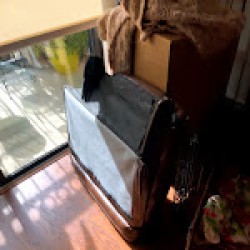 Latest review image uploaded by customer for Moving By Design.