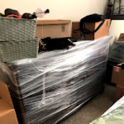 Latest review image uploaded by customer for Moving By Design.