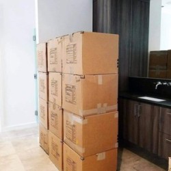 Image uploaded by customer for Transit Moving Systems.